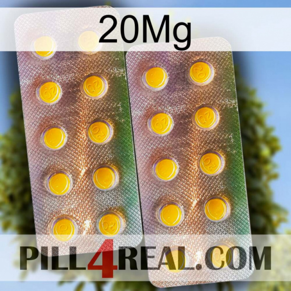 20Mg new10.jpg